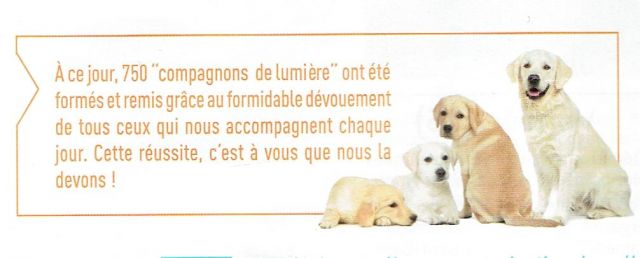 association des chiens-guides des Côtes d’Armor